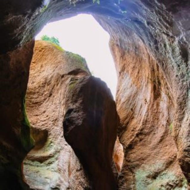 Tenerife: Guided Canyoning Experience in Los Arcos - What the canyon reveals about Tenerife