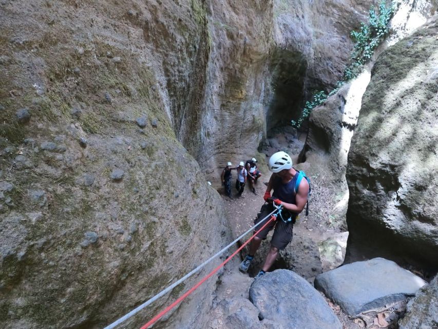 Tenerife: Guided Canyoning Experience in Los Arcos - Who should book this canyoning trip?