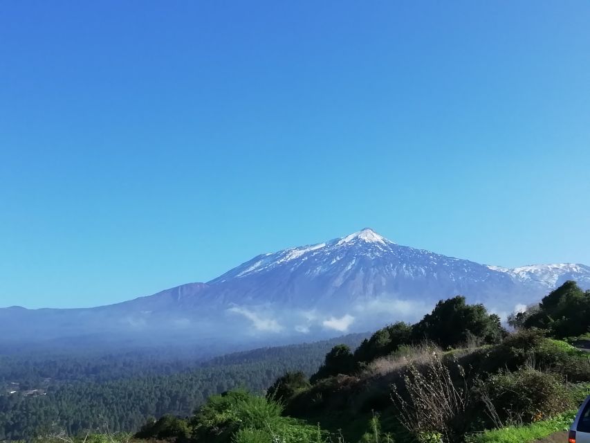 Tenerife: Guided Horseback Riding Tour to the Lomo Forest - Riding through Lomo Forest at walking speed