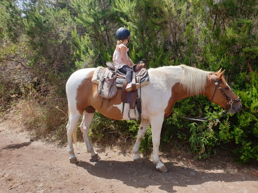 Tenerife: Guided Horseback Riding Tour to the Lomo Forest - A good match for children, with clear age and safety rules