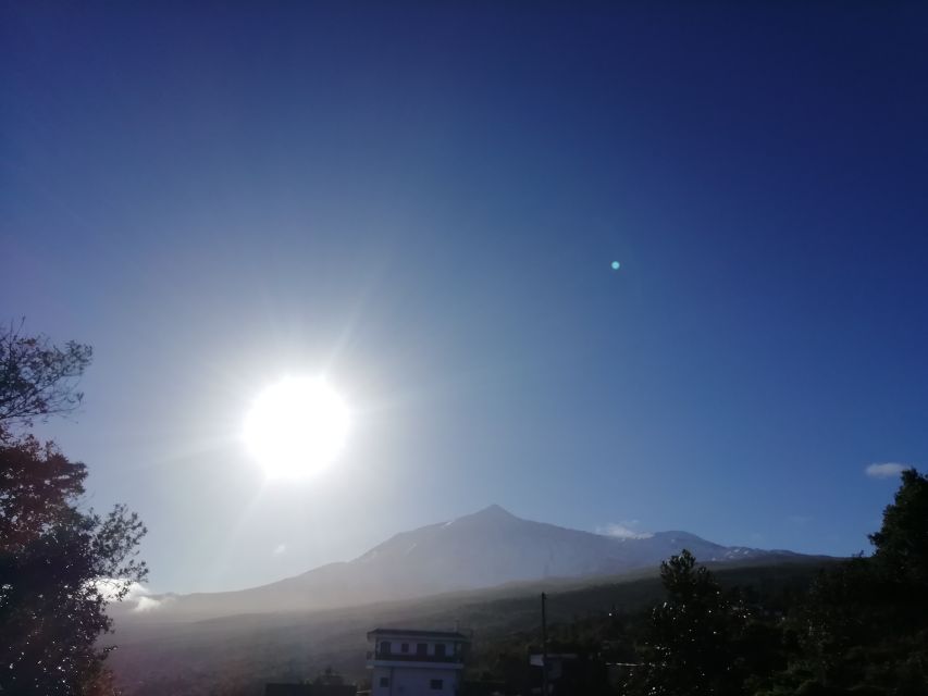 Tenerife: Guided Horseback Riding Tour to the Lomo Forest - What to wear and pack for the forest