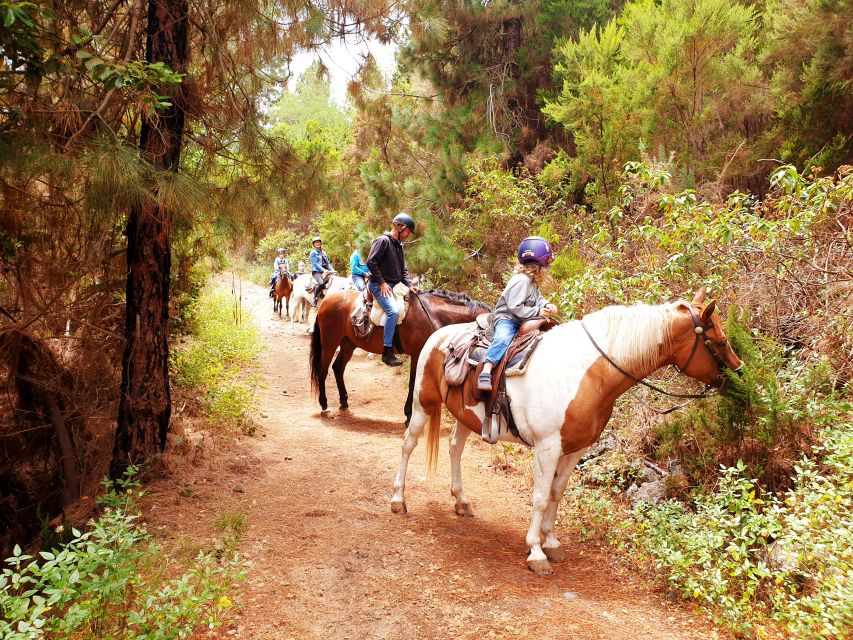 Tenerife: Guided Horseback Riding Tour to the Lomo Forest - What happens at Finca Estrella before the trail