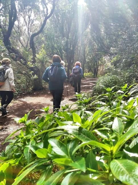 Tenerife: Guided tour guide in the Anaga Rural Park - Key points to know before you book