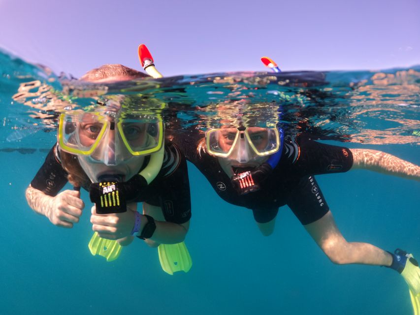 Tenerife: Half-Day Snorkeling Tour - Key points to know before booking