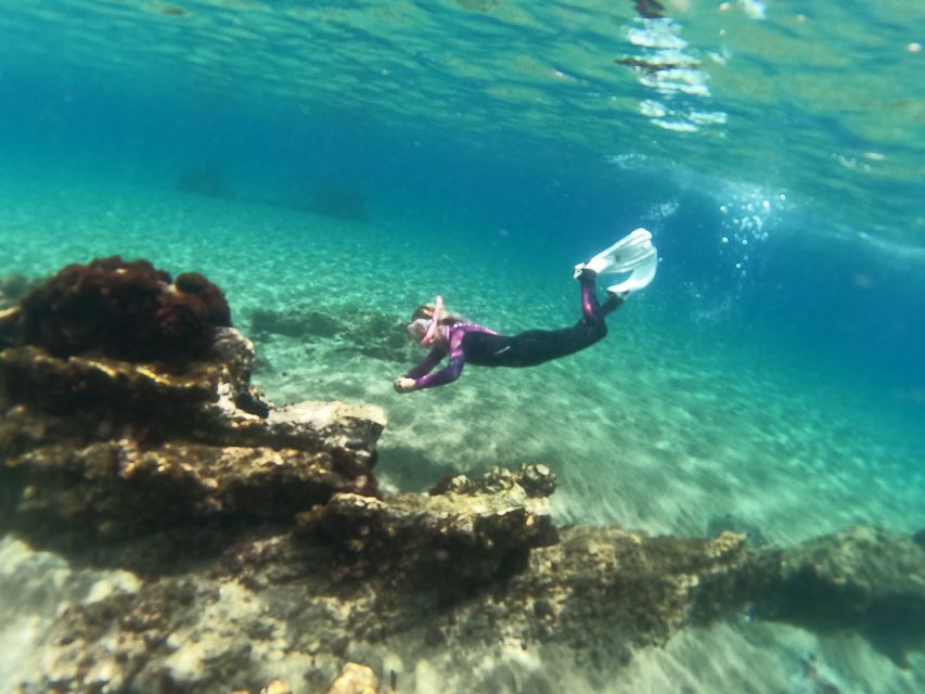 Tenerife: Half-Day Snorkeling Tour - The 30-minute briefing and equipment fitting