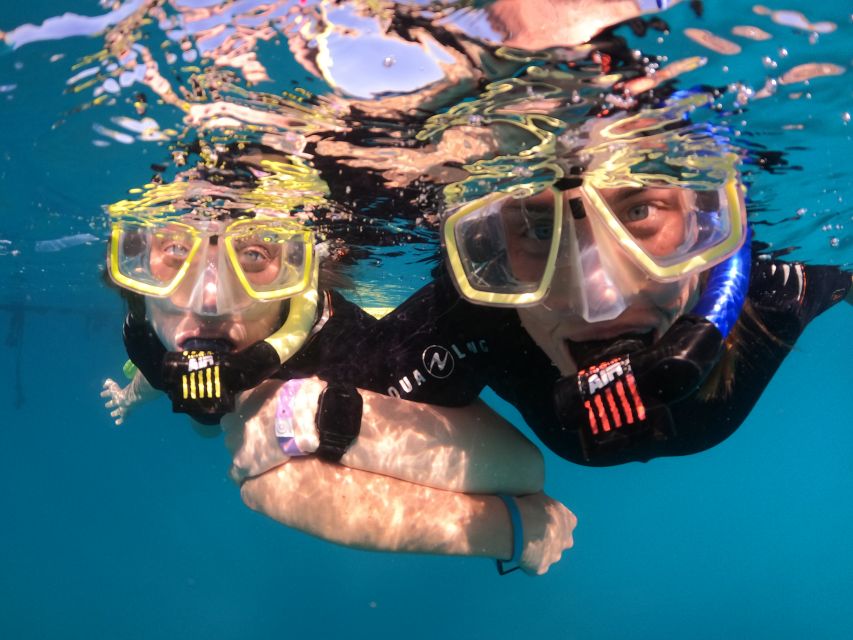 Tenerife: Half-Day Snorkeling Tour - A 30-minute break and your own time in the water