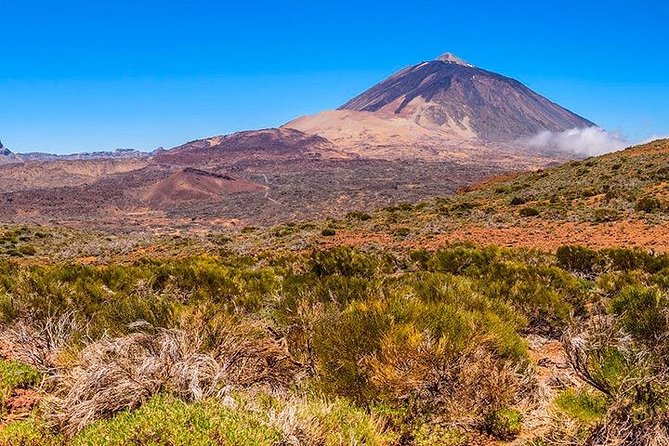 Tenerife Highlights Full-Day Tour - Why this full-day route works