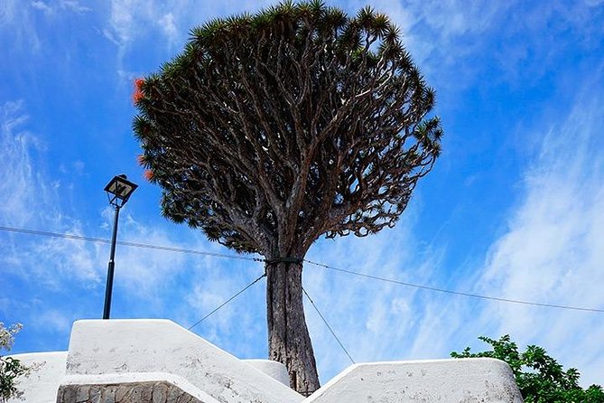 Tenerife Highlights Full-Day Tour - Masca Valley and the road to La Gomera views