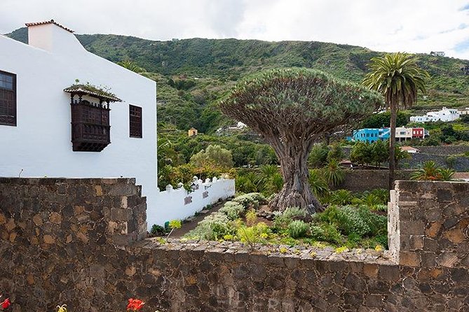 Tenerife Highlights Full-Day Tour - What $67.58 really buys you