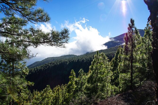 Tenerife Highlights VIP Custom Private Tour - photos included - The Basilica and Guanche chiefs explain Candelaria’s importance