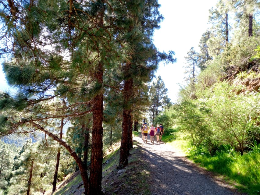 Tenerife: Hiking Above the Village of Masca - Key points at a glance
