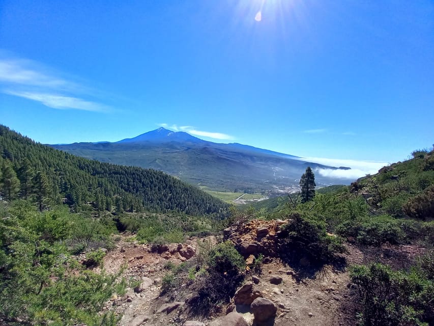 Tenerife: Hiking Above the Village of Masca - Pine forest and the descent into the valley
