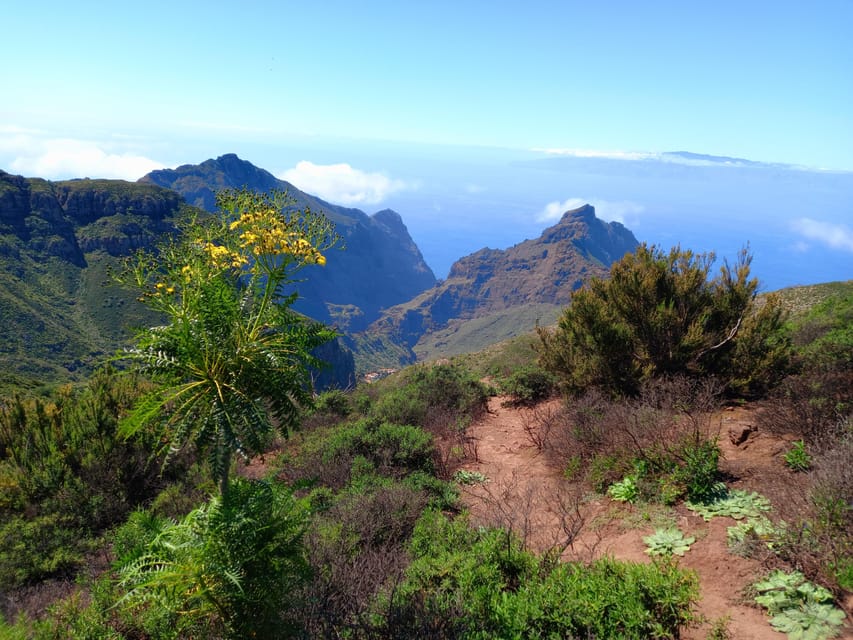 Tenerife: Hiking Above the Village of Masca - Is the $73 price good value?