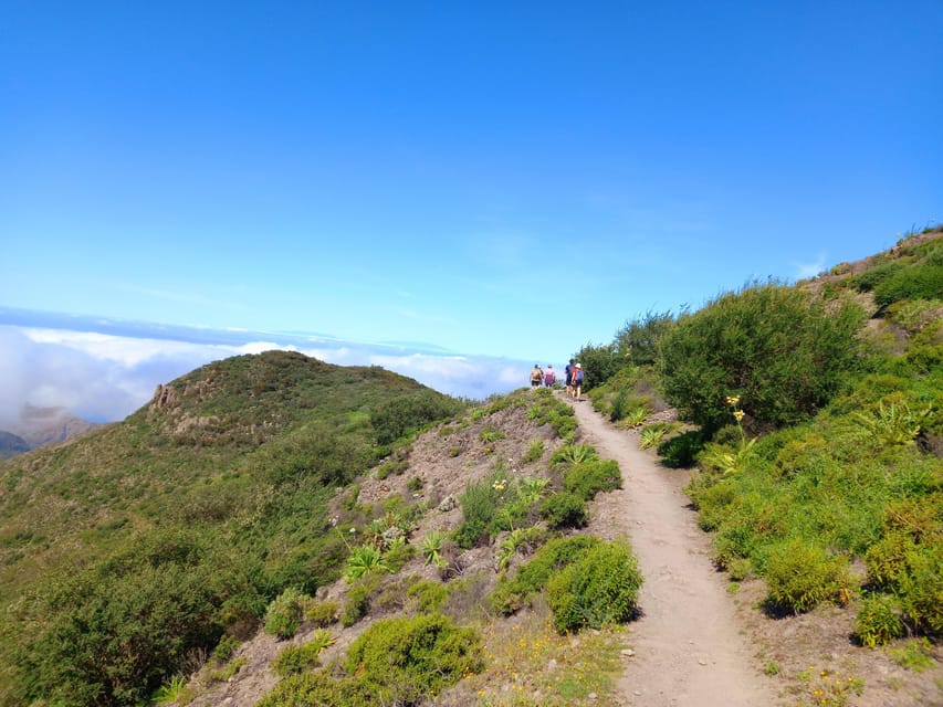 Tenerife: Hiking Above the Village of Masca - From the southern resorts to Masca