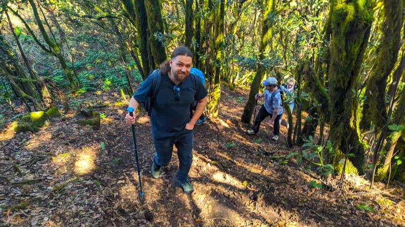 Tenerife: Hiking Tour Above Masca & Enchanted Forest - Key points at a glance