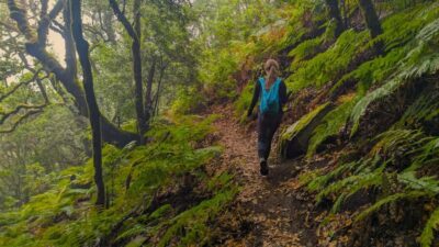 Hiking Tour Above Masca & Enchanted Forest