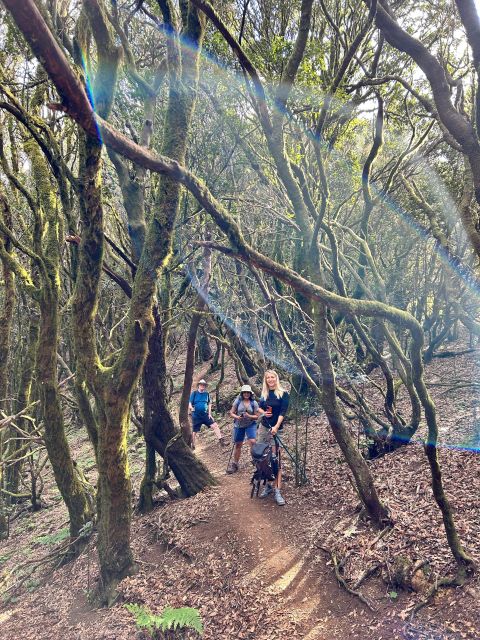 Tenerife: Hiking Tour Above Masca & Enchanted Forest - Hotel pickup makes the South Tenerife location worthwhile
