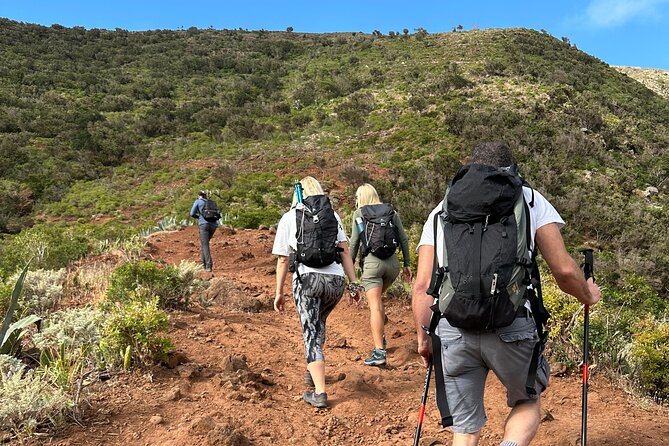 Tenerife: Hiking Tour in Anaga Mountains and Enchanted Forest - Why Anaga is one of Tenerife’s best day trips
