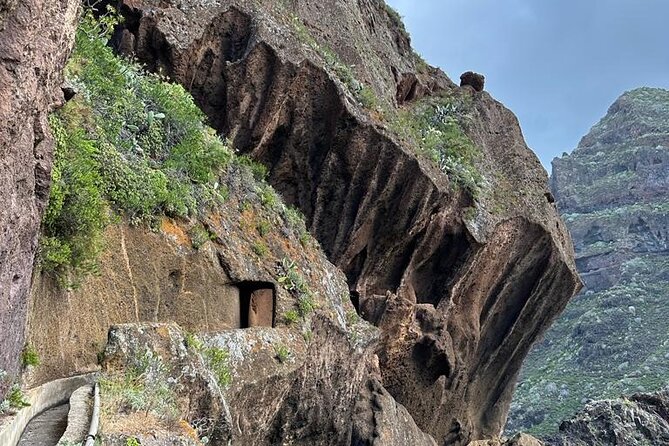 Tenerife: Hiking Tour in Anaga Mountains and Enchanted Forest - What the guide adds to the walk
