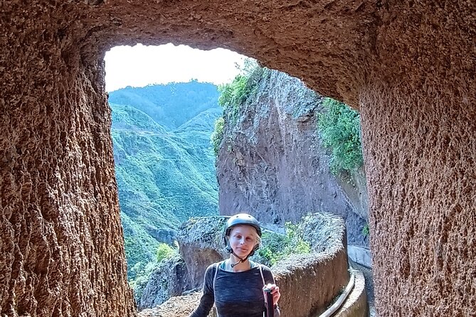 Tenerife: Hiking Tour in Anaga Mountains and Enchanted Forest - The Enchanted Forest: a short but atmospheric opening