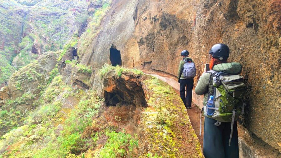 Tenerife: Hiking Tour in Anaga Mountains & Enchanted Forest - Key points at a glance