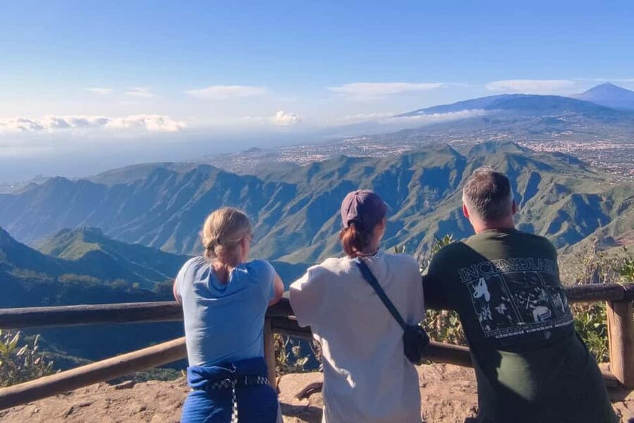 Tenerife: Hiking Tour in Anaga Mountains & Enchanted Forest - Good for cruise passengers, with one timing check