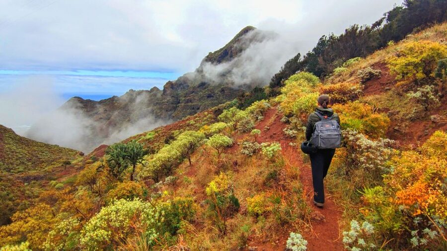 Tenerife: Hiking Tour in Anaga Mountains & Enchanted Forest - Why Anaga feels like another Tenerife