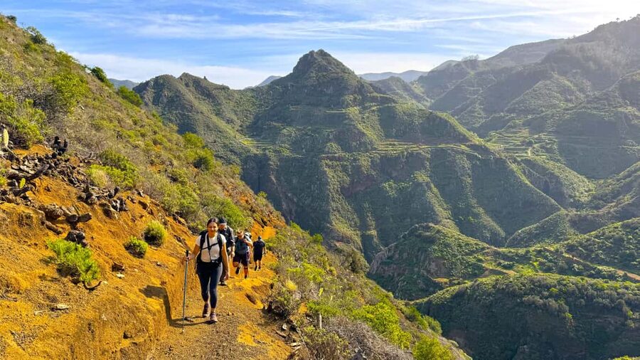 Tenerife: Hiking Tour in Anaga Mountains & Enchanted Forest - The main hike: 7 km of changing terrain