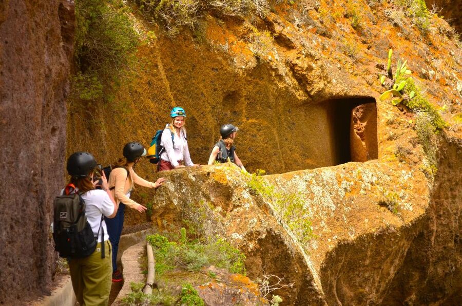 Tenerife: Hiking Tour in Anaga Mountains & Enchanted Forest - Is $146 a fair price?