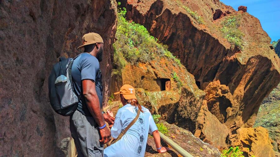Tenerife: Hiking Tour in Anaga Mountains & Enchanted Forest - From your hotel to La Jardina viewpoint