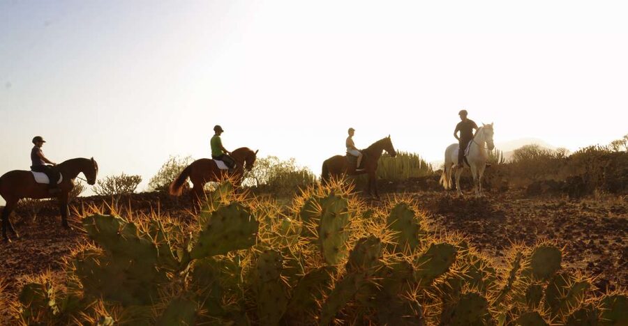 Tenerife: Horseback Ride with Instructor - Key points to know before you ride