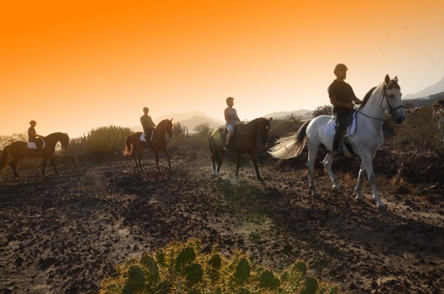 Tenerife: Horseback Ride with Instructor - The two-hour route: mountains, lava, and the beach