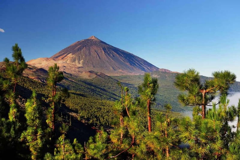 Tenerife: Jet Ski Tour with Optional Quad Trip - Jet skis from San Miguel: Tenerife from the water