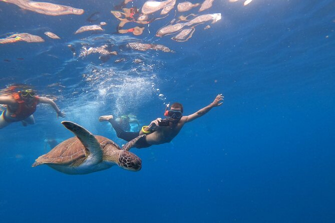 Tenerife: Kayak and snorkel with marine life safari - Weather can change the whole plan
