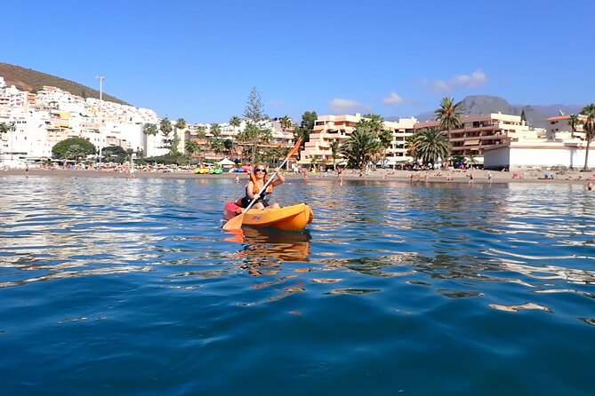 Tenerife: Kayak and snorkel with marine life safari - Is $42.34 good value?