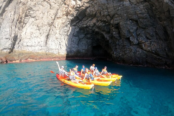 Tenerife: Kayak and snorkel with marine life safari - Snacks, water, and what to carry