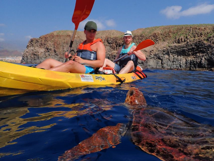 Tenerife: Kayak and Snorkel with Turtles, Wetsuits Included - A low-key way to watch Tenerife’s marine life