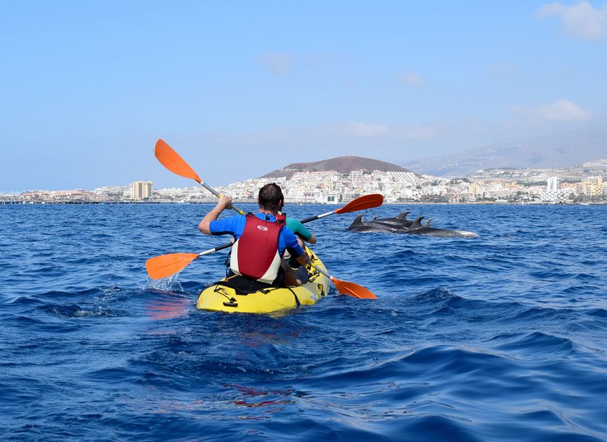 Tenerife: Kayak and Snorkel with Turtles, Wetsuits Included - Cueva de los Enamorados and the return paddle
