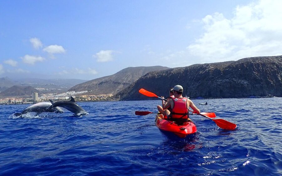 Tenerife: Kayak and Snorkel with Turtles, Wetsuits Included - Snorkeling in a bay reached only by boat