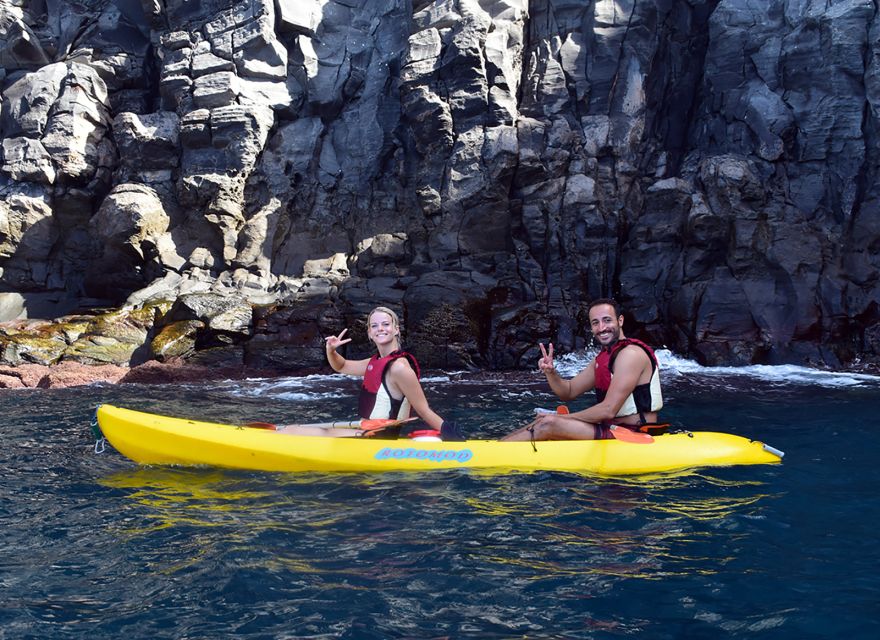 Tenerife: Kayak and Snorkel with Turtles, Wetsuits Included - What the wildlife watching is really like