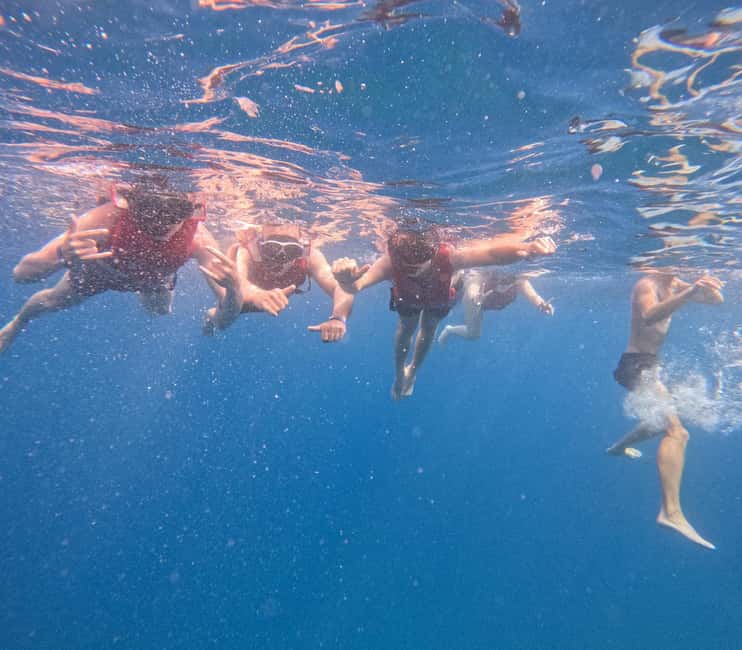 Tenerife: Kayak and Snorkeling Tour with Marine Life - Snorkeling in a bay reached only by sea