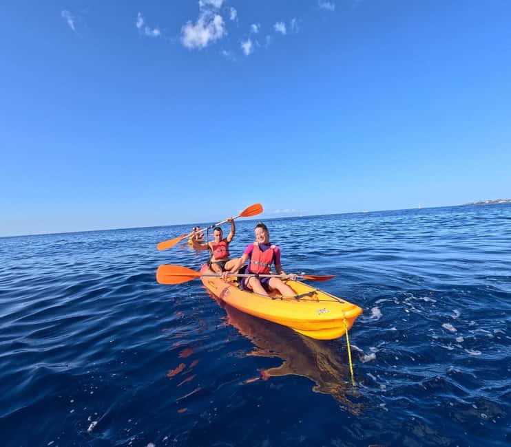 Tenerife: Kayak and Snorkeling Tour with Marine Life - What the guides add to the experience
