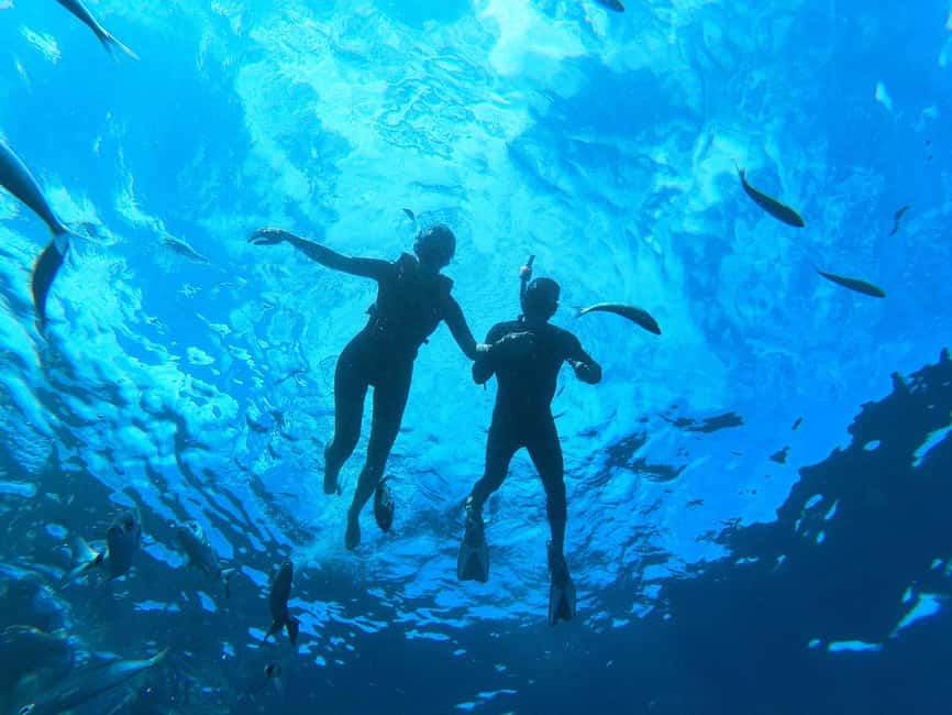 Tenerife: Kayak and Snorkeling Tour with Marine Life - Is $51 a fair price?