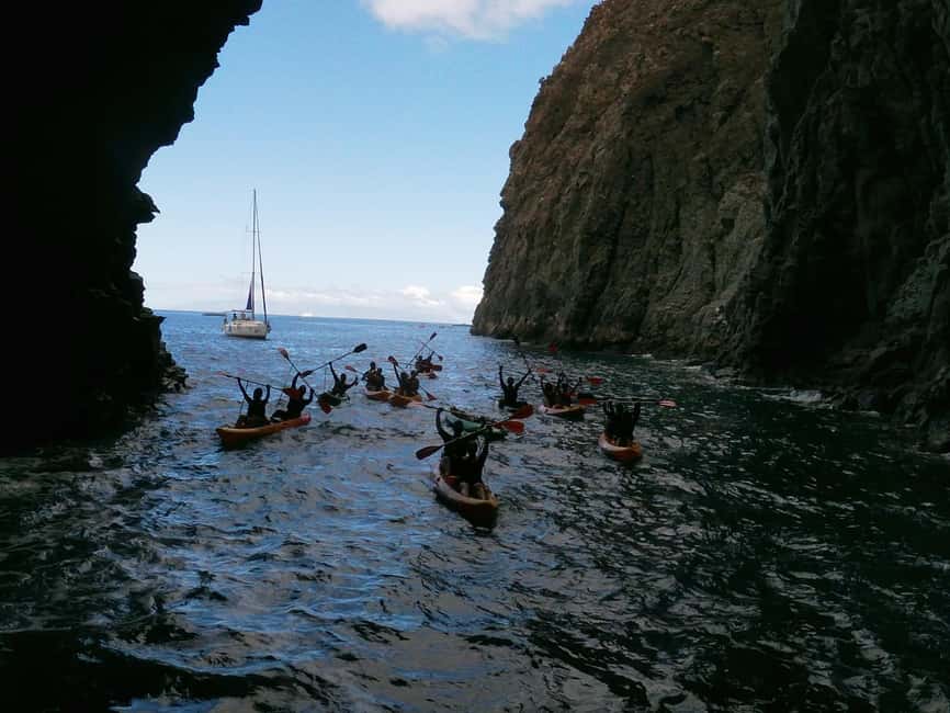Tenerife: Kayak and Snorkeling Tour with Marine Life - Who will enjoy this Palm-Mar outing