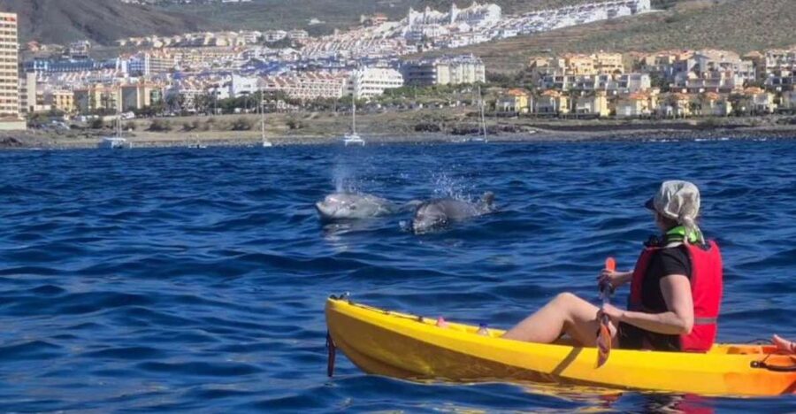 Tenerife: Kayak Safari and Sea Turtle Snorkeling with Photos - The sea cave and the 30-minute snorkeling stop