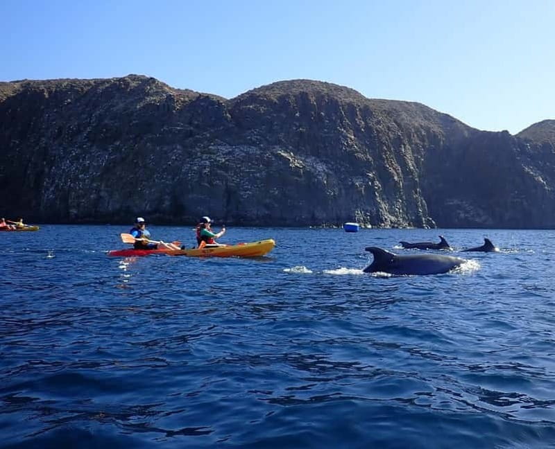 Tenerife: Kayak & Snorkel Tour with Snacks & Sea Life Safari - Leaving Los Cristianos Beach by Kayak