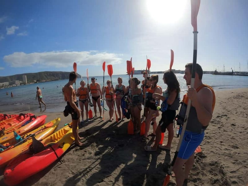 Tenerife: Kayak & Snorkel Tour with Snacks & Sea Life Safari - Why the $30 Price Is Strong Value