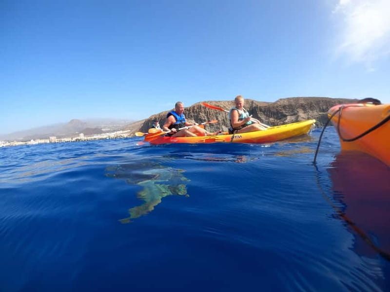 Tenerife: Kayak & Snorkel Tour with Snacks & Sea Life Safari - My Practical Verdict on MANA KAYAK
