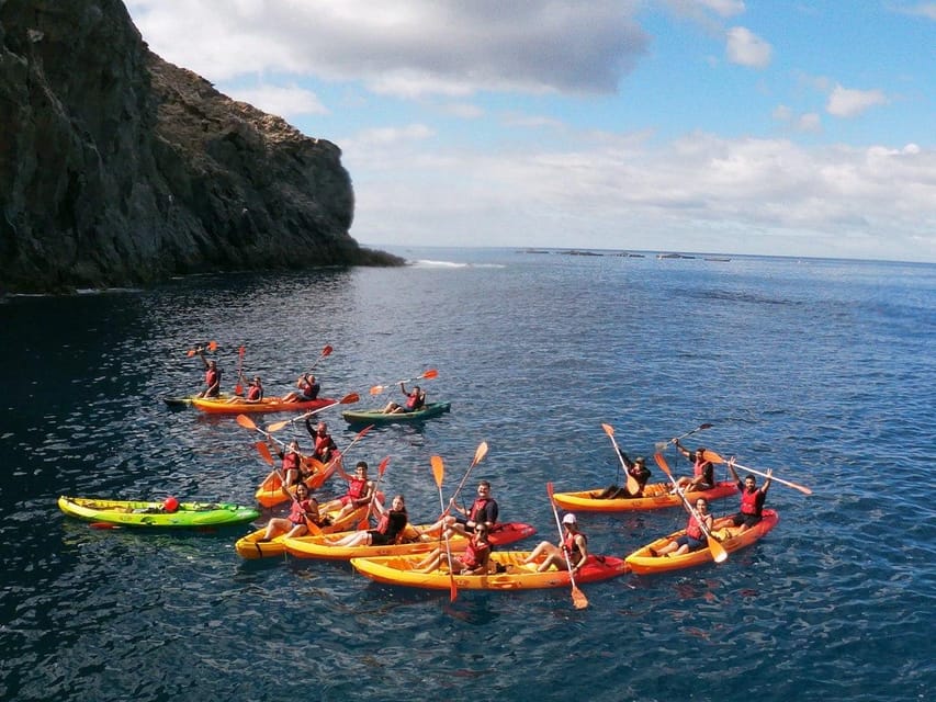 Tenerife: Kayak & Snorkeling, Marine Fauna Watching - Practical details that make the day easier