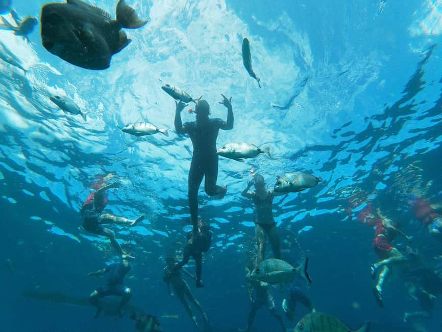 Tenerife: Kayak & Snorkeling, Marine Fauna Watching - The first 30 minutes on the water